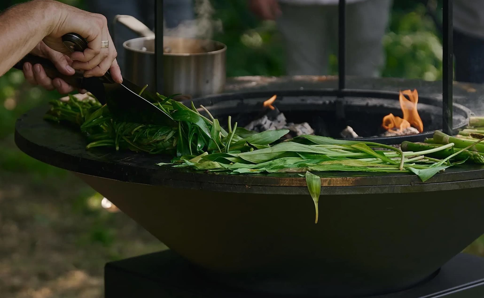 Barbecues